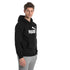 Felpa con cappuccio nera Puma Essentials Big Logo, Abbigliamento Sport, SKU a721000026, Immagine 0